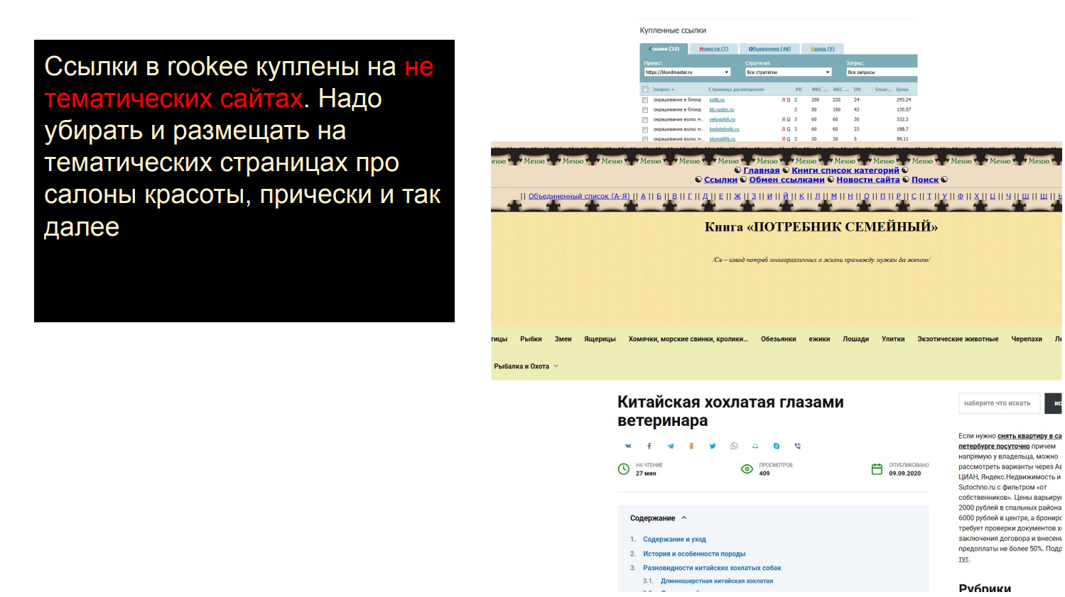 Пример материалов по техническому аудиту, изображение 2